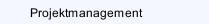 Projektmanagement
